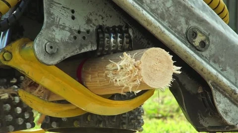 Forestry equipment, Harvester Stock Footage 68353248