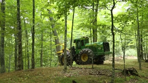 Forestry equipment logging trees. Stock Footage 58284317