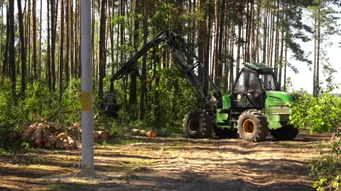 Forestry equipment making deforestation coniferous forest Video stock 99836281