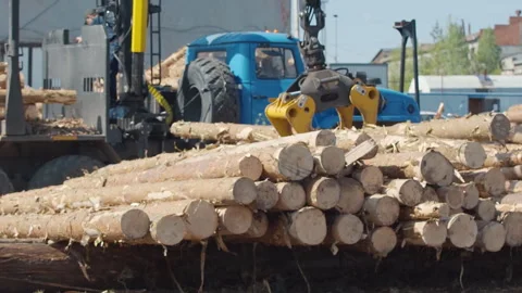 Forestry Forwarder Machine Places Processed Log Of Fallen Tree In Wood Pile Stock Footage 245240364