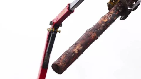 Forestry Grapple Stock-Footage 331074588