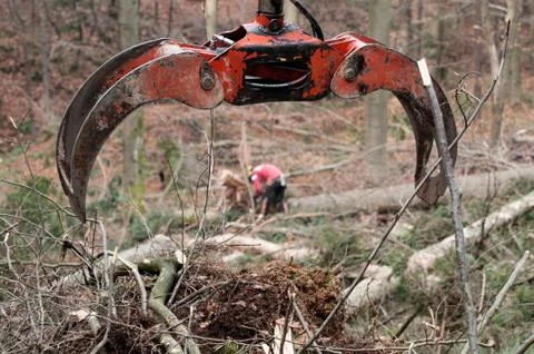 Forestry grapple for picking up timber and forestry worker in background Stock-Fotos