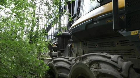 Forestry harvester back view Stock Footage 213617487