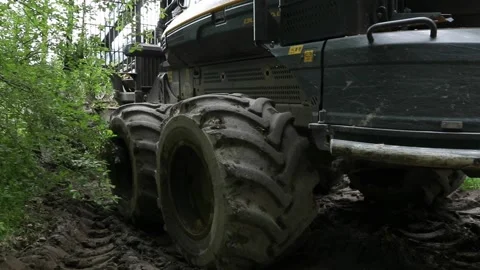 Forestry harvester back view Stock Footage 213618886