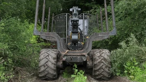 Forestry harvester front view Stock Footage 213623498