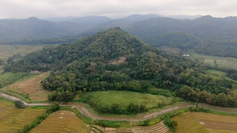 Forestry hill surrounded by vast rice fields, aerial orbit view Stockbeeldmateriaal 164818337