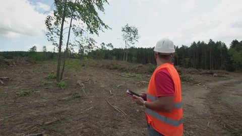 Forestry industry worker wearing white helmet making control with tablet Stock Footage 172428764