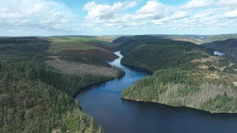 Forestry at Llyn Brianne Stock Footage 251580624