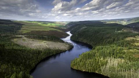 Forestry at Llyn Brianne. Stock-Fotos