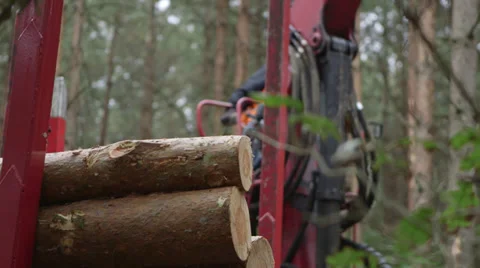 Forestry - loading wood logs Video stock 34303807