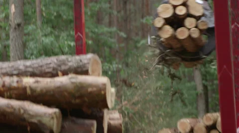 Forestry - loading wood logs Video stock 34304591