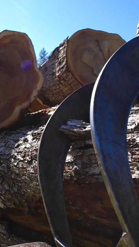 Forestry Log Trailer Close Up with a Hydraulic Crane Resting on Cut Timber 库存影片 336652604