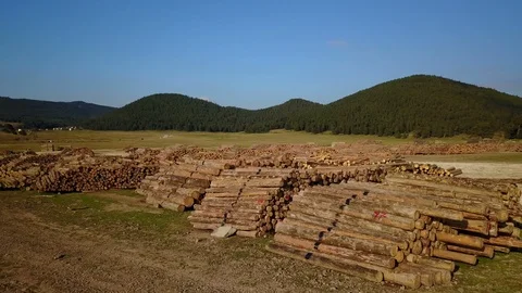 Forestry Logging Land Pine Forest Mountain Wood Deforestaition Drone View Video stock 119889438