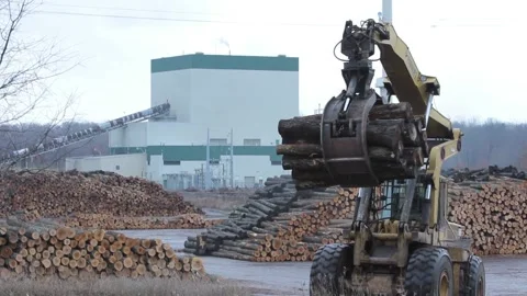 Forestry Logs Wood Transported to Mill by Picker 動画素材 172264309