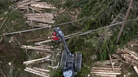 Forestry Machine among Felled Timber in Skodje Stock Footage 346665757