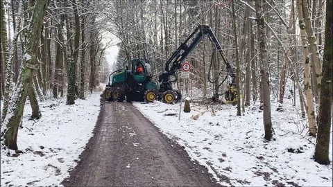 Forestry machine chopping trees in snowy forest Stock Footage 100967947