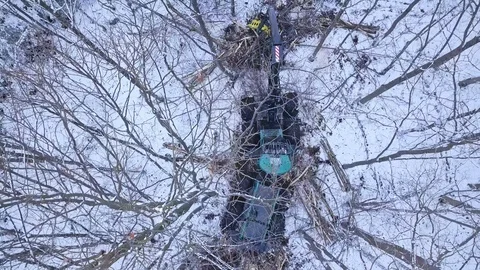 Forestry machine chopping trees in snowy forest, drone shot Stock Footage 100968388