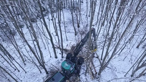 Forestry machine chopping trees in snowy forest, drone shot Stock Footage 100968998