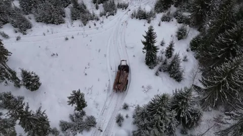 Forestry machine in forest in winter Finland Stock Footage 327395049