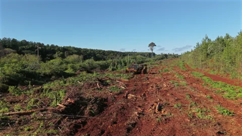 Forestry Machine Working on Cleared Land for Reforestation Stock Footage 344354367