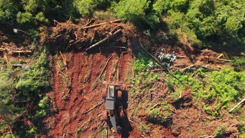 Forestry Machinery Working Across Cleared Red Soil Stock Footage 344354293