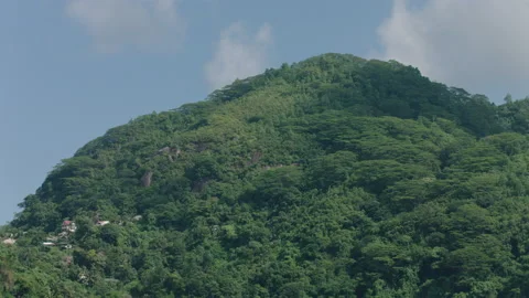 FORESTRY ON MOUNTAIN Stock Footage 141725466