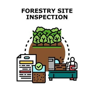 Forestry site inspection process controlling land management Illustrazione stock