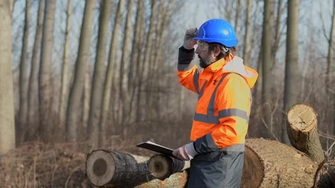 Forestry technician writing logging process notes on clipboard notepad Stock Footage 123484842