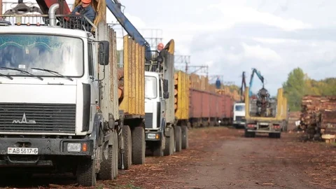 Forestry trucks in a forest Stock Footage 84024937