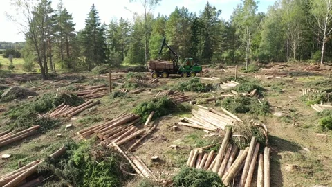 Forestry at Vreta education center Stock Footage 196869830