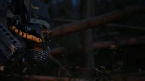 Forestry woodsawing at night Video stock 84199735