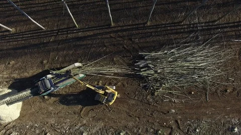 Forestry work chain Stock-Footage 126011288