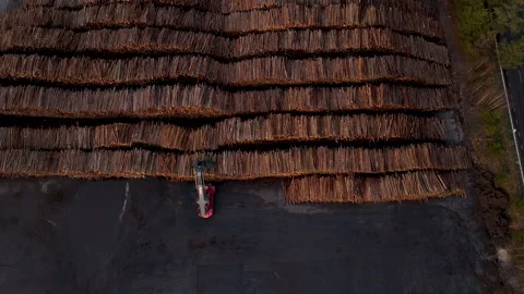 Forestry worker arranging logs with tractor in timber yard Stock Footage 297054173