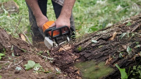 Forestry worker cutting fallen tree trunk with chainsaw in forest floor close up Stock Footage 344872659
