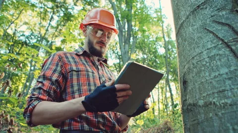 Forestry worker with digital tablet checking trees Video stock 67862989