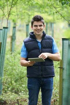 Forestry Worker With Digital Tablet Checking Young Trees Stock Photos