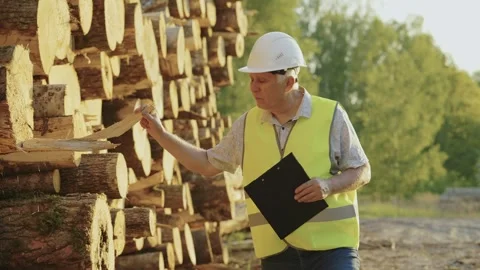 Forestry worker in overalls counts lumber. Slow motion Stock Footage 242695736