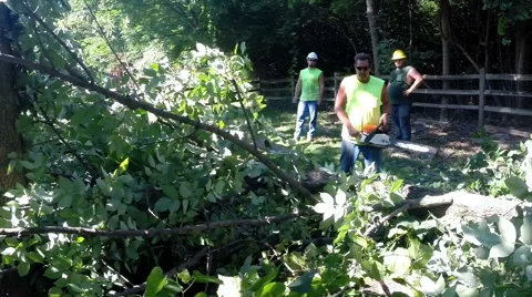 Forestry worker uses a chain saw to cut up a tree that has fallen - 6 Stock Footage 52494992