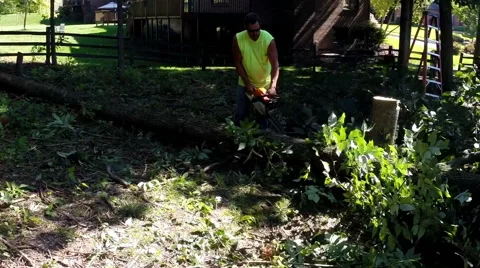 Forestry worker uses a chain saw to cut up a tree that has fallen - 5 Stock Footage 52495605
