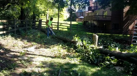 Forestry worker uses a chain saw to cut up a tree that has fallen - 7 Stock Footage 52499490