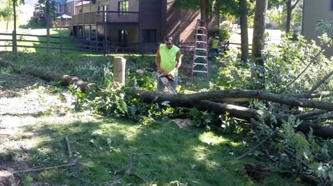 Forestry worker uses a chain saw to cut up a tree that has fallen - 9 Stock Footage 52508995