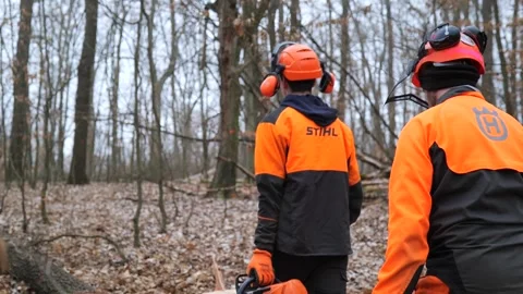 Forestry Workers in Safety Gear with Chainsaws in Winter Forest Stock Footage 306682807