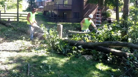 Forestry workers use a chain saw to cut up a tree that has fallen - 8 Stock Footage 52502259