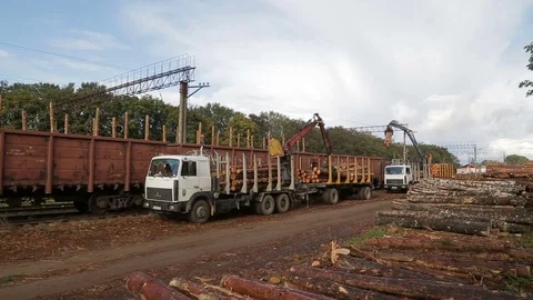 Forestry works Stock Footage 83877302