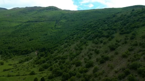 Forests from Above Cinematic 4K Drone Flight Over Turkey&amp;#039;s Green Wilderness Stock-Footage 336957550