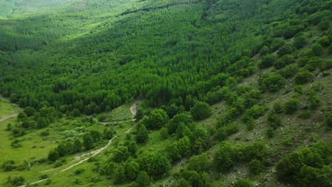 Forests from Above Cinematic 4K Drone Flight Over Turkey&amp;#039;s Green Wilderness Stock-Footage 336957720