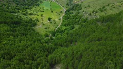 Forests from Above Cinematic 4K Drone Flight Over Turkey&amp;#039;s Green Wilderness Stock-Footage 336958293
