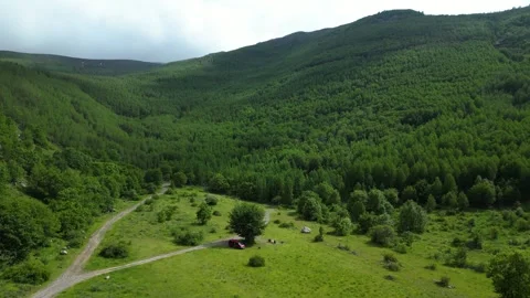 Forests from Above Cinematic 4K Drone Flight Over Turkey&amp;#039;s Green Wilderness Stock-Footage 336958830