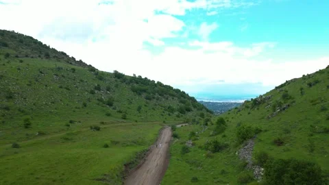 Forests from Above Cinematic 4K Drone Flight Over Turkey&amp;#039;s Green Wilderness Stock-Footage 336959006
