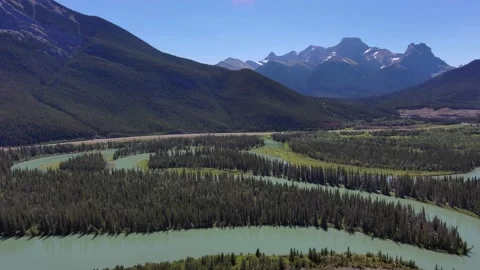 Forests of the Alberta Rockies Stock Footage 201351696
